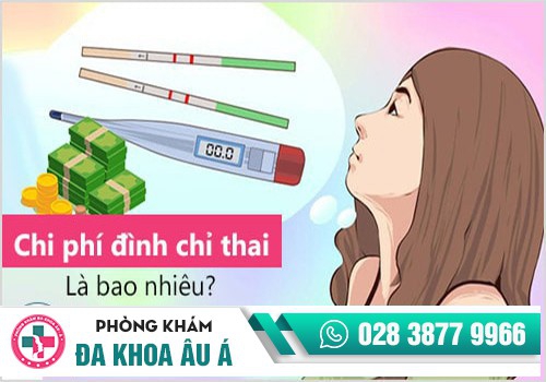 ĐÌNH CHỈ THAI LÀ GÌ? 