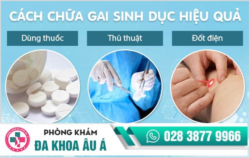 Gai âm đạo là gì? Phân biệt gai âm đạo và sùi mào gà Gai âm đạo là gì? Phân biệt gai âm đạo và sùi mào gà