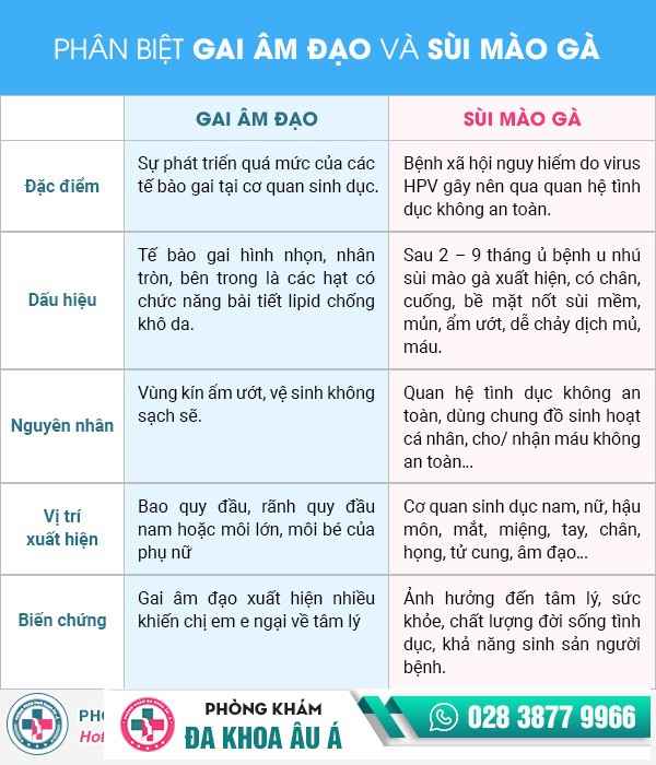 Gai âm đạo là gì? Phân biệt gai âm đạo và sùi mào gà Gai âm đạo là gì? Phân biệt gai âm đạo và sùi mào gà