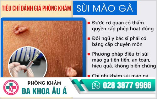 khám sùi mào gà ở đâu